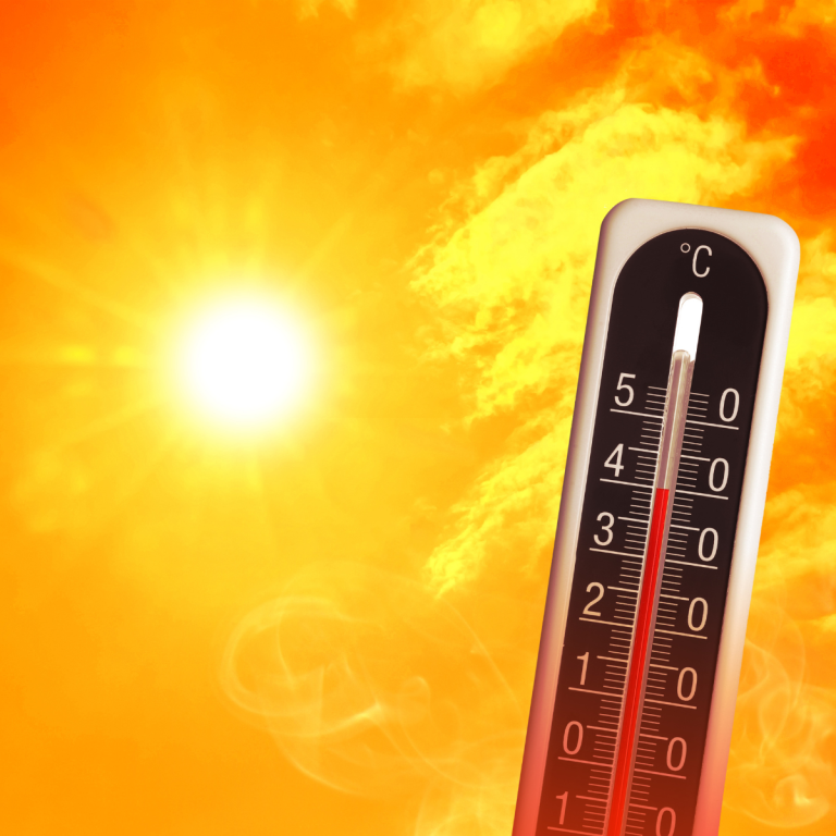 De warmte maakt veel los.